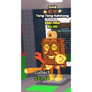 ✅  gold tang tang keletang (chocolate trait) 12380 ONE TIME OFFER💲