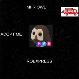 ✅ MFR OWL