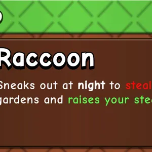 Raccoon gag 2