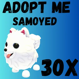 Samoyed 30x-Adopt me