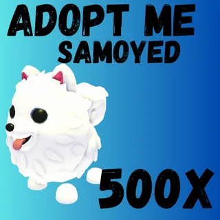 Samoyed 500x-Adopt me