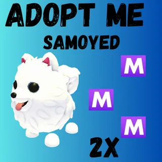 Mega Samoyed = 2X