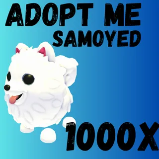 Samoyed 1000x-Adopt me