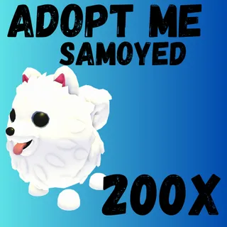 Samoyed 200x-Adopt me