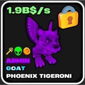 Admin Phoenix Tigeroni