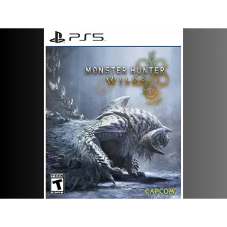 Monster Hunter Wilds PS5 account 