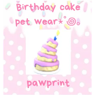 Birthday Cake Pet Wear