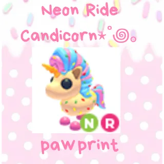 neon fly ride candicorn