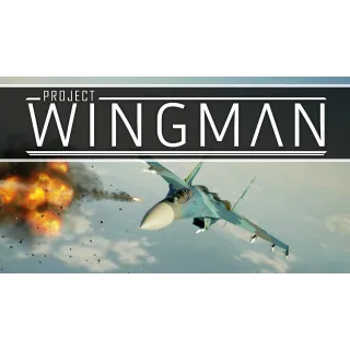 Project Wingman Steam CD Key 