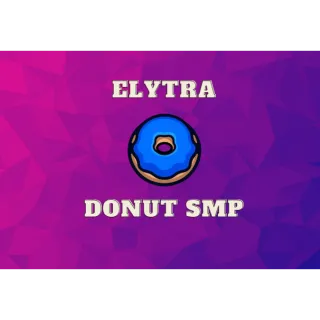 Elytra DonutSmp