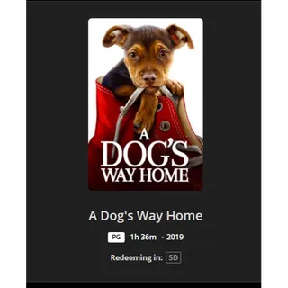 A Dog's Way Home SD MA