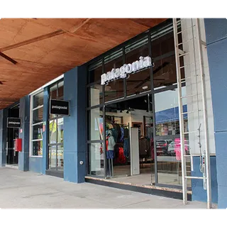 Patagonia $100 credit for online store
