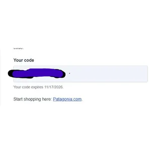Patagonia $100 credit for online store (US)