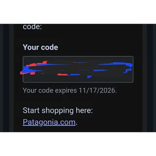 Patagonia online store $100 code