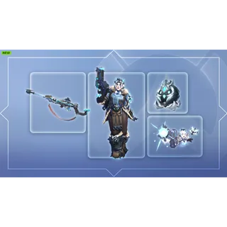 Overwatch BlizzCon Bundle | Blizzard Gift | US Region