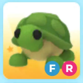 Fly ride turtle