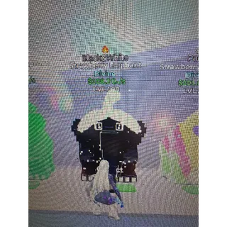 Go up for Brainrots