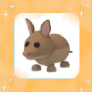 Bandicoot