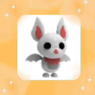 Albino Bat