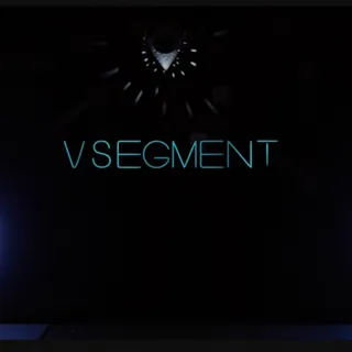 The V-Segment 