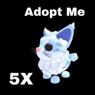 MAINE COON 5X - Adopt Me