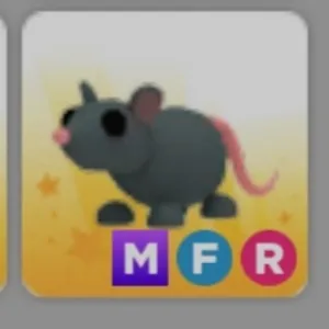 MFR rat