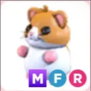 Mfr hamster