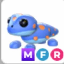 MFR gecko