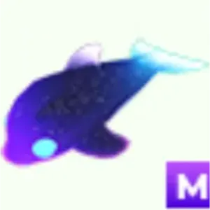 glormy dolphin M