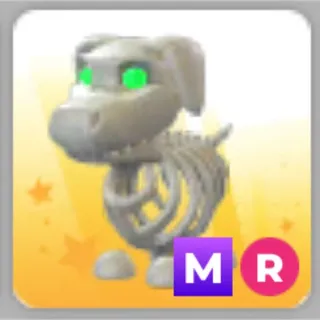 MR skeleton dog