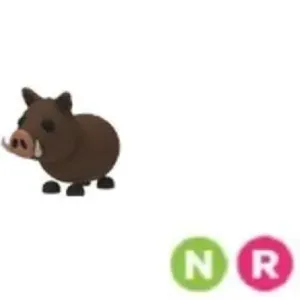 NR wild boar