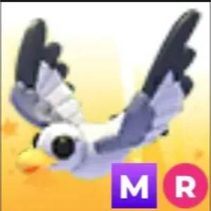 m seagull