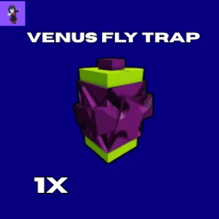 VENUS FLY TRAP