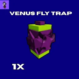  VENUS FLY TRAP