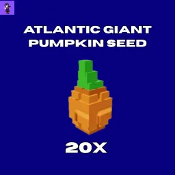  20x Atlantic Giant Pumpkin Seed