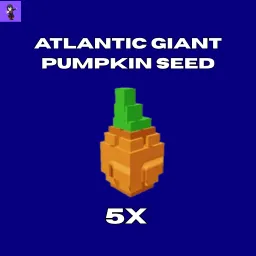 5x Atlantic Giant Pumpkin Seed 