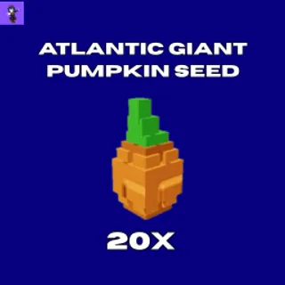  20x Atlantic Giant Pumpkin Seed
