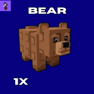 BEAR