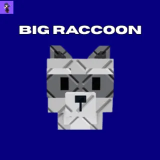  Big Raccoon