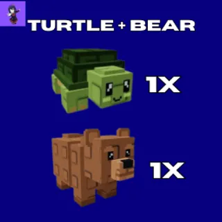  TURTLE + BEAR