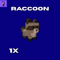1x Raccoon