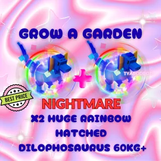 X2 RBH DILO NM 60KG+ 