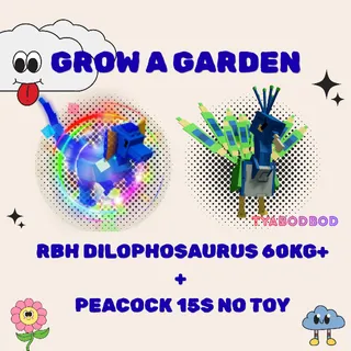 RBH DILO 60KG+ + PEACOCK 15s NO TOY