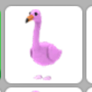 Pet Adopt Me Flamingo In Game Items Gameflip - what is flamingos roblox username 2020