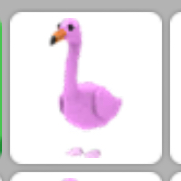Pet Adopt Me Flamingo In Game Items Gameflip