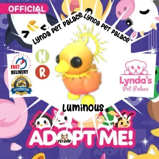 Neon Ride Sunrise Duckling |Luminous