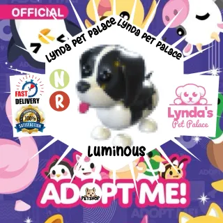 Neon Ride Black Springer Spaniel LUM