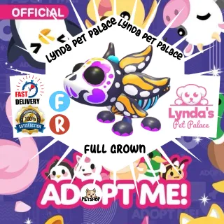 FR Sugar Axolotl (full grown)