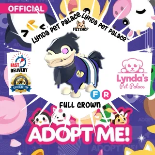 FR Undead Jousting Horse (Full Grown)