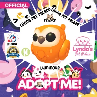 Neon Clementine Owl (Luminous)